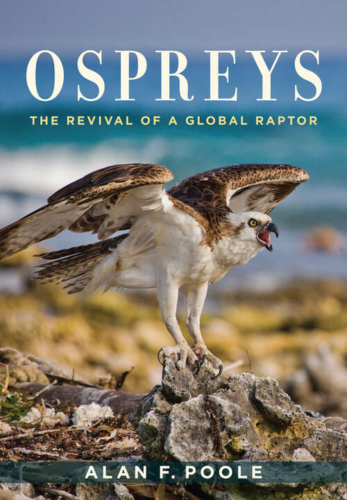 Book cover of Ospreys: The Revival of a Global Raptor