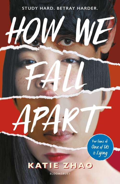 Book cover of How We Fall Apart