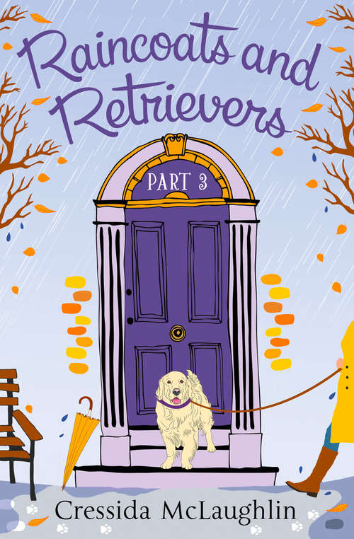 Book cover of Raincoats and Retrievers (ePub edition) (Primrose Terrace Series #3)