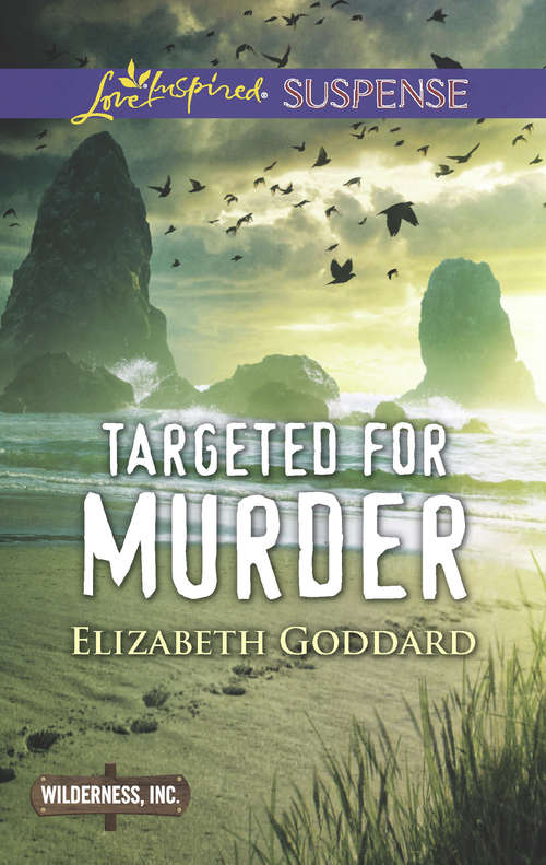Book cover of Targeted For Murder: High-risk Reunion Targeted For Murder Deadly Setup (ePub edition) (Wilderness, Inc. #1)