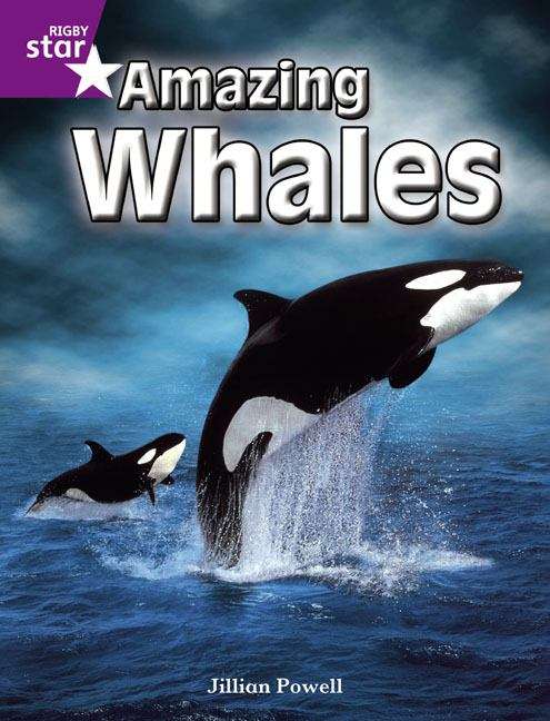 Book cover of Amazing Whales (Rigby Star Independent: Purple Level Non-Fiction)