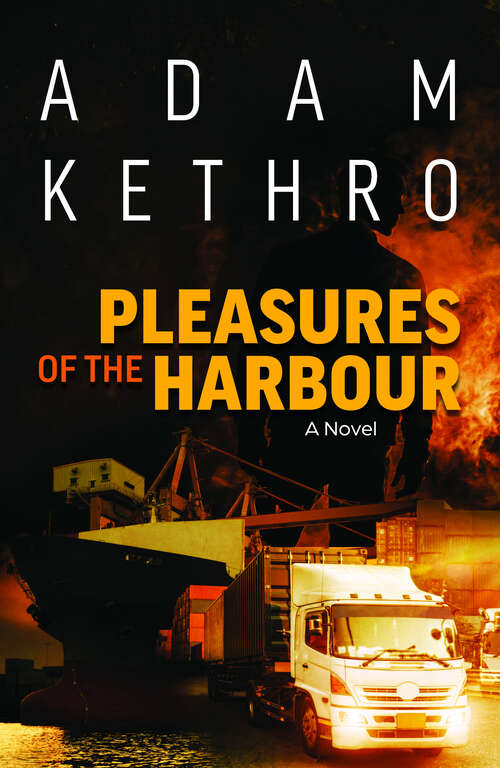 Book cover of Pleasures of the Harbour: A Novel