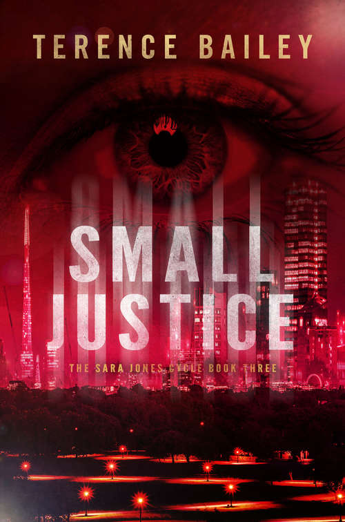 Book cover of Small Justice: The Sara Jones Cycle (The Sara Jones Cycle #3)