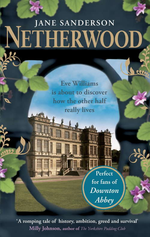 Book cover of Netherwood