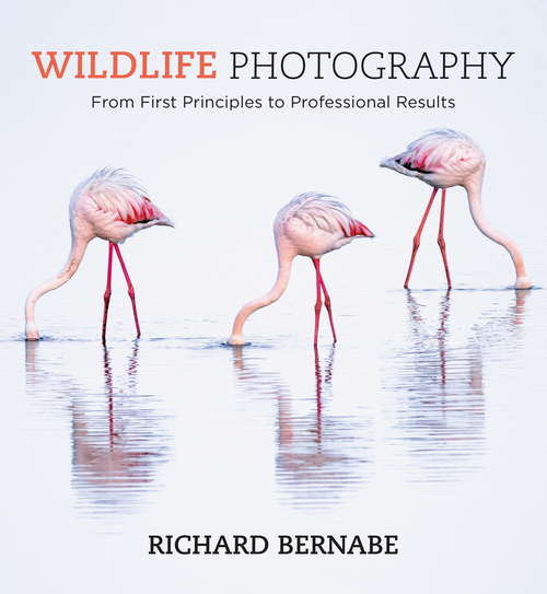 Book cover of Wildlife Photography: An Expert Guide