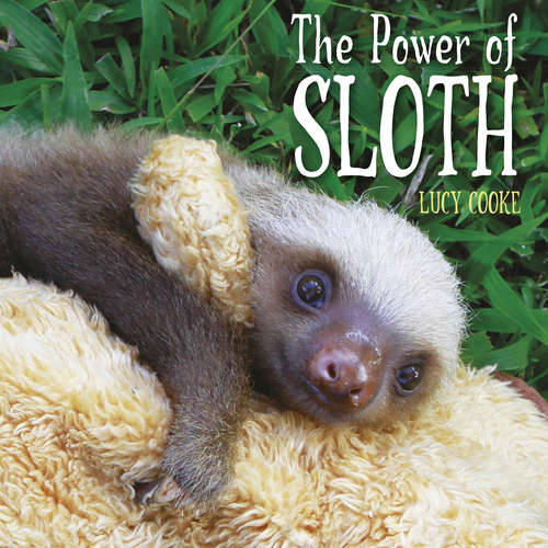 Book cover of The Power of Sloth: The Power Of Sloth (ebook)