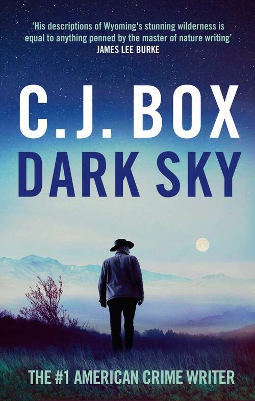 Book cover of Dark Sky: Joe Pickett Book 21 (Joe Pickett #21)