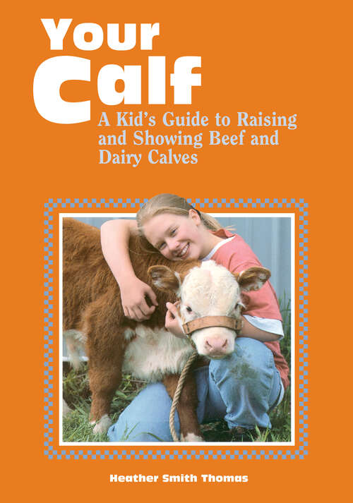 Book cover of Your Calf: A Kid's Guide to Raising and Showing Beef and Dairy Calves