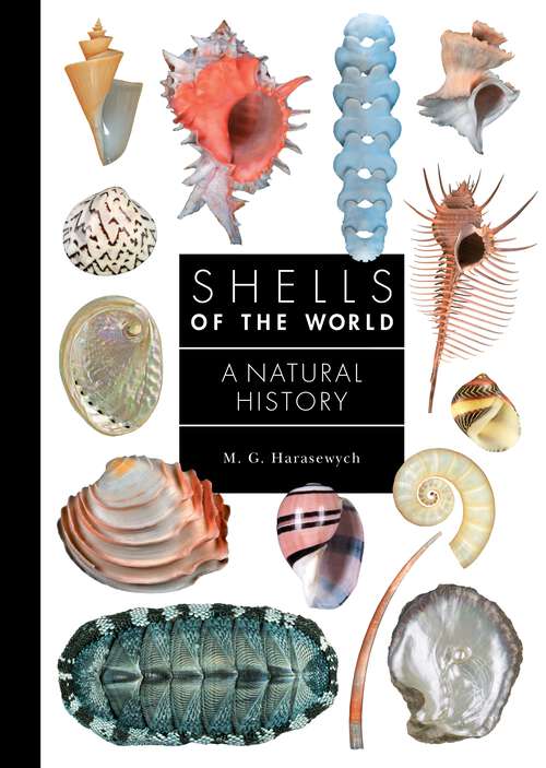 Book cover of Shells of the World: A Natural History (A Guide to Every Family #10)