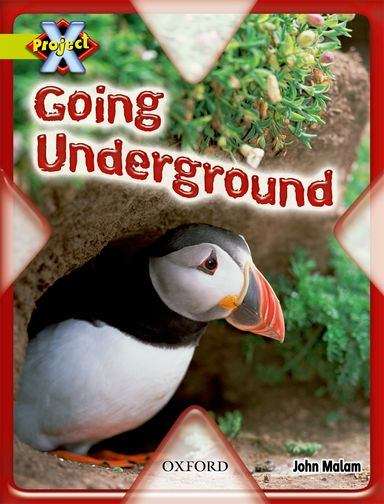 Book cover of Project X, Book Band 11, Lime, Underground: Going Underground (PDF)