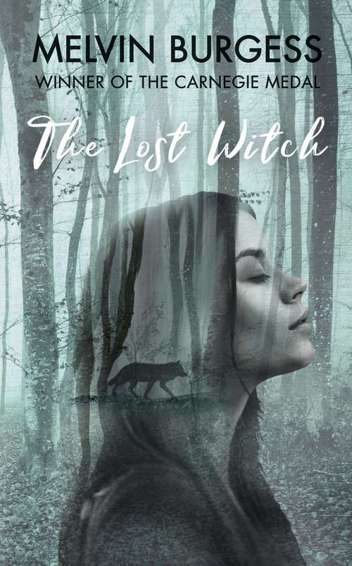 Book cover of The Lost Witch