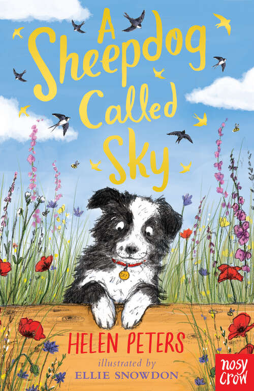 Book cover of A Sheepdog Called Sky (The Jasmine Green Series #3)