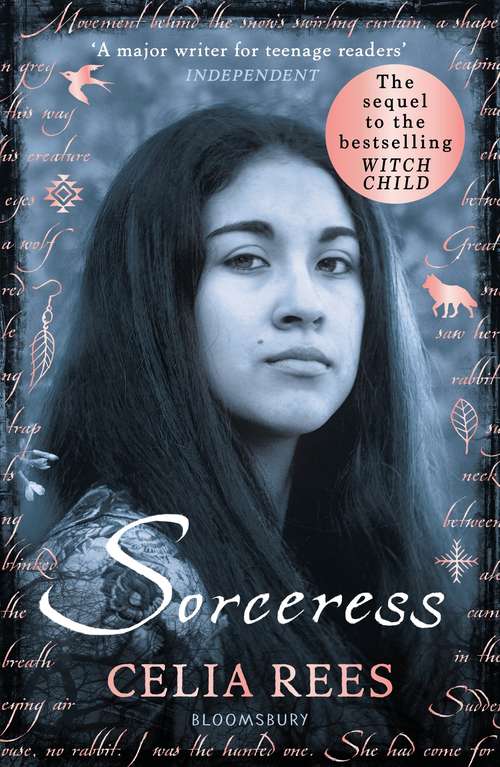 Book cover of Sorceress