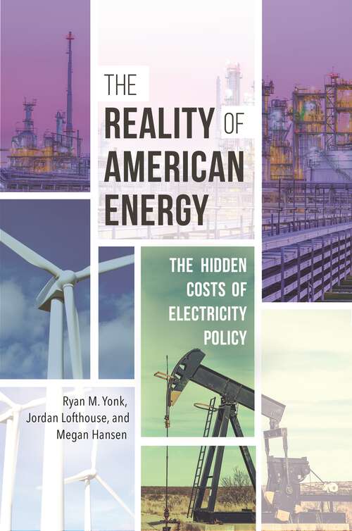 Book cover of The Reality of American Energy: The Hidden Costs of Electricity Policy