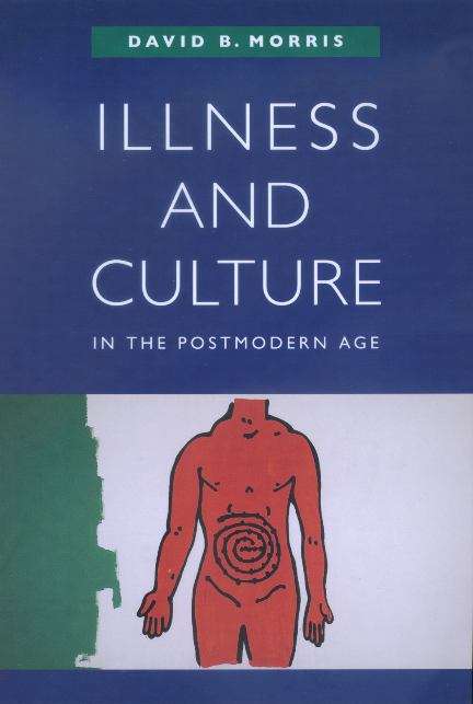 Book cover of Illness And Culture In The Postmodern Age (PDF)