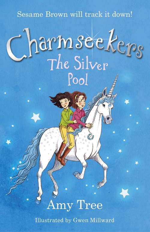 Book cover of The Silver Pool: Book 2 (Charmseekers #2)