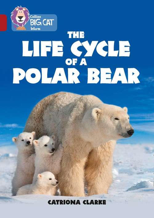 Book cover of Collins Big Cat, Band 14, Ruby: The Life Cycle of a Polar Bear (PDF)