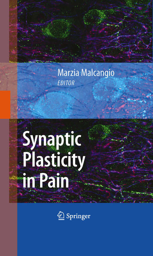 Book cover of Synaptic Plasticity in Pain (2009)