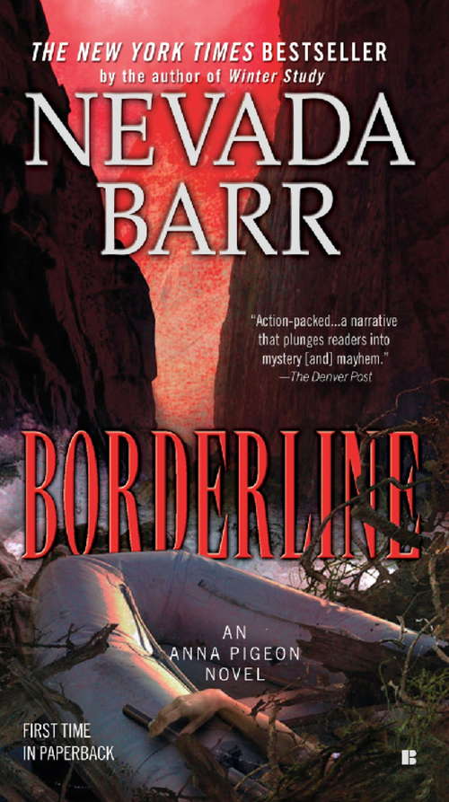 Book cover of Borderline: A thrilling mystery of the Texan desert (Anna Pigeon Mysteries #15)