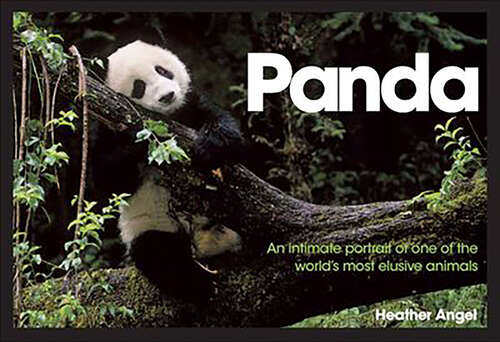 Book cover of Panda: An Intimate Portrait Of One Of The World's Most Elusive Characters