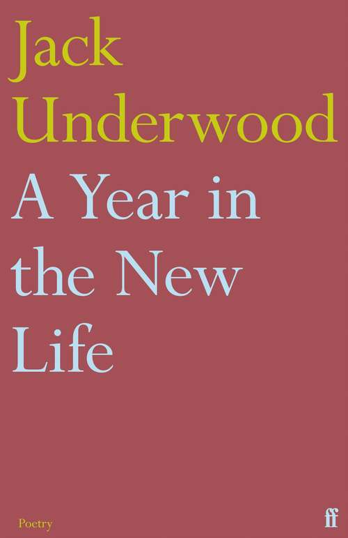 Book cover of A Year in the New Life (Main)