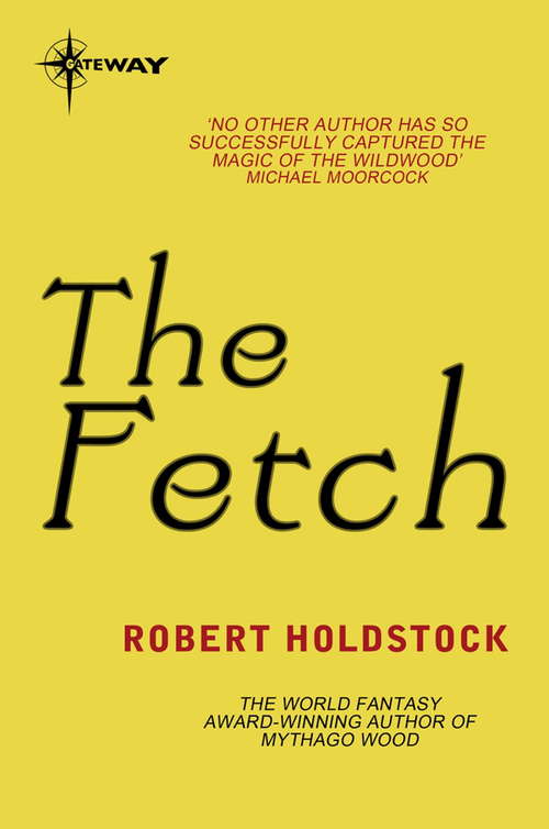Book cover of The Fetch