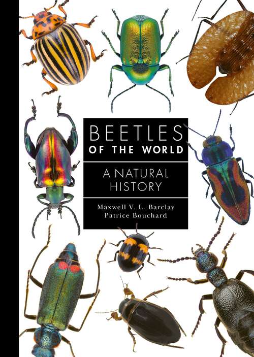 Book cover of Beetles of the World: A Natural History (A Guide to Every Family #7)