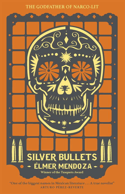 Book cover of Silver Bullets