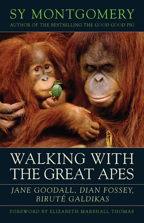 Book cover of Walking with the Great Apes: Jane Goodall, Dian Fossey, Biruté Galdikas