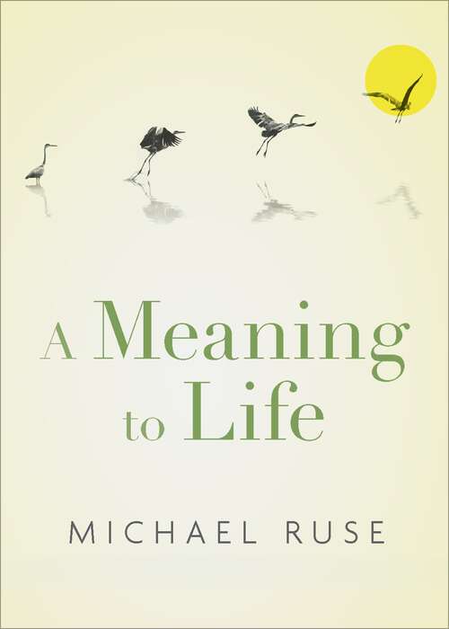 Book cover of A Meaning to Life (Philosophy in Action)