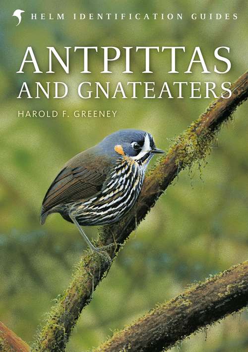 Book cover of Antpittas and Gnateaters