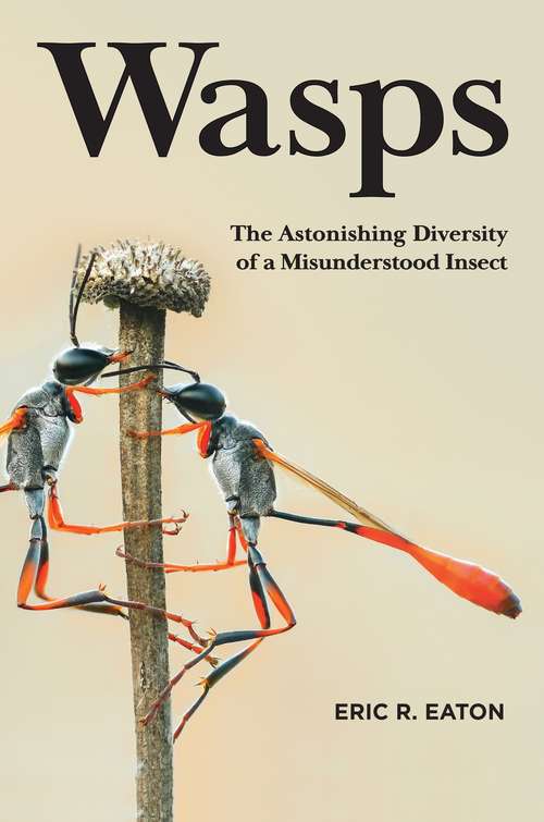Book cover of Wasps: The Astonishing Diversity of a Misunderstood Insect