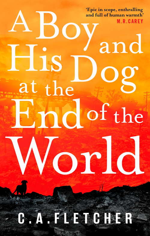 Book cover of A Boy and his Dog at the End of the World: A Novel