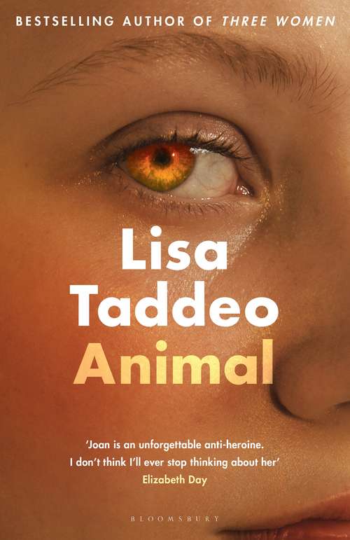 Book cover of Animal: The first novel from the author of Three Women
