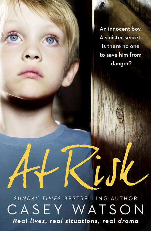 Book cover of At Risk: An Innocent Boy. A Sinister Secret. Is There No One To Save Him From Danger? (ePub edition)