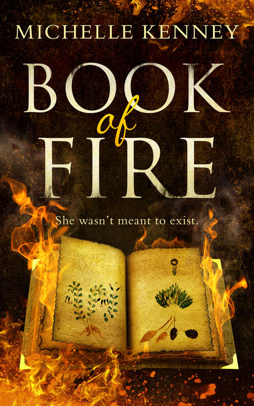 Book cover of Book of Fire (ePub edition) (The Book of Fire series #1)