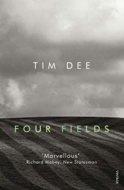 Book cover of Four Fields
