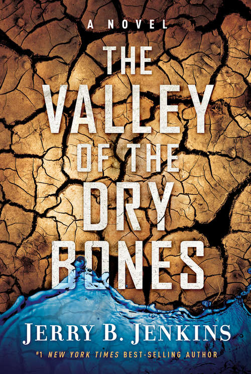 Book cover of The Valley of Dry Bones: A Novel
