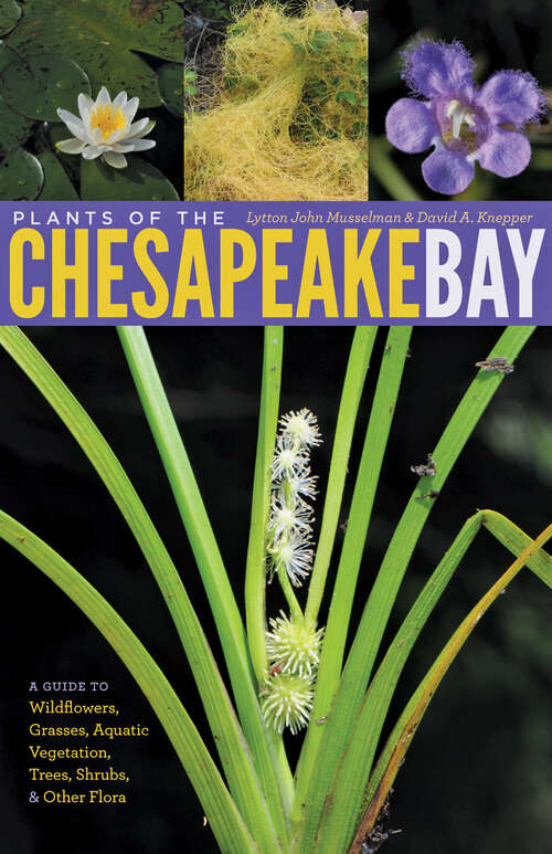 Book cover of Plants of the Chesapeake Bay: A Guide to Wildflowers, Grasses, Aquatic Vegetation, Trees, Shrubs, and Other Flora