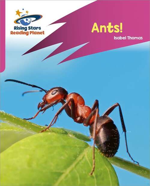Book cover of Reading Planet: Rocket Phonics – Target Practice – Ants! – Pink A