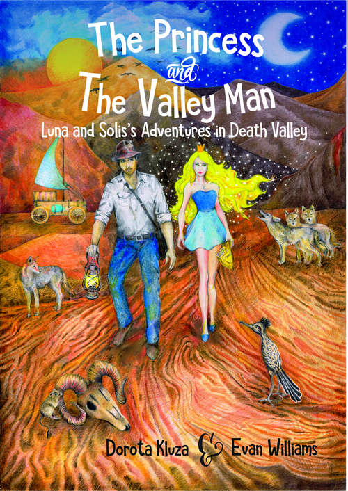 Book cover of The Princess  and The Valley Man