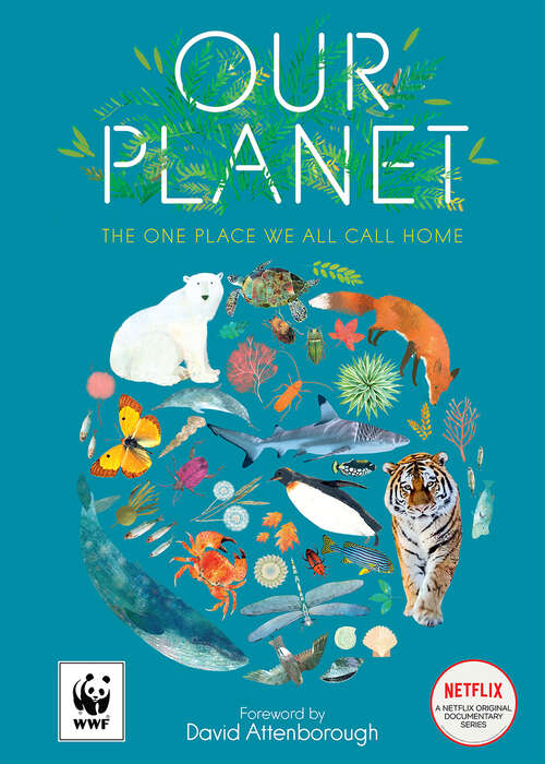 Book cover of Our Planet: The One Place We All Call Home