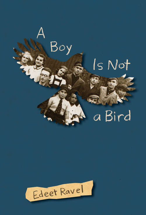 Book cover of A Boy Is Not a Bird