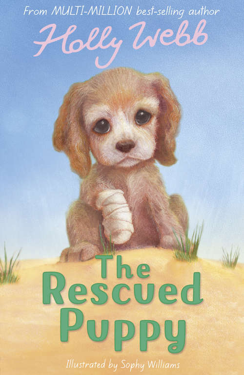 Book cover of The Rescued Puppy (Holly Webb Animal Stories #18)