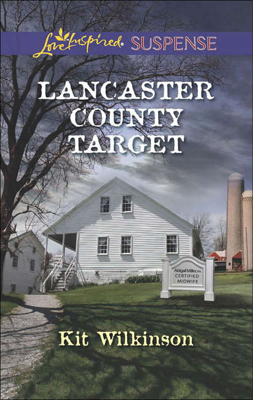 Book cover of Lancaster County Target: Lancaster County Target (ePub First edition) (Mills And Boon Love Inspired Suspense Ser.)