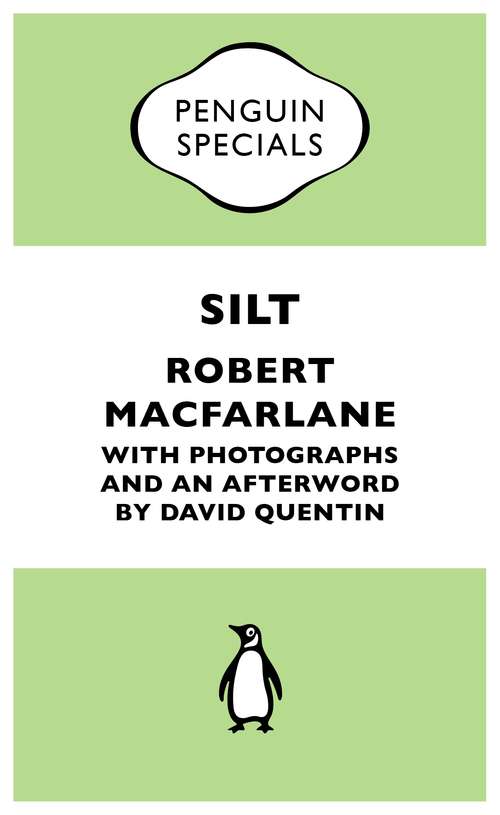 Book cover of Silt
