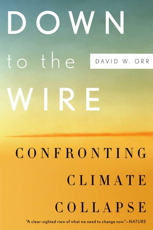 Book cover of Down to the Wire: Confronting Climate Collapse
