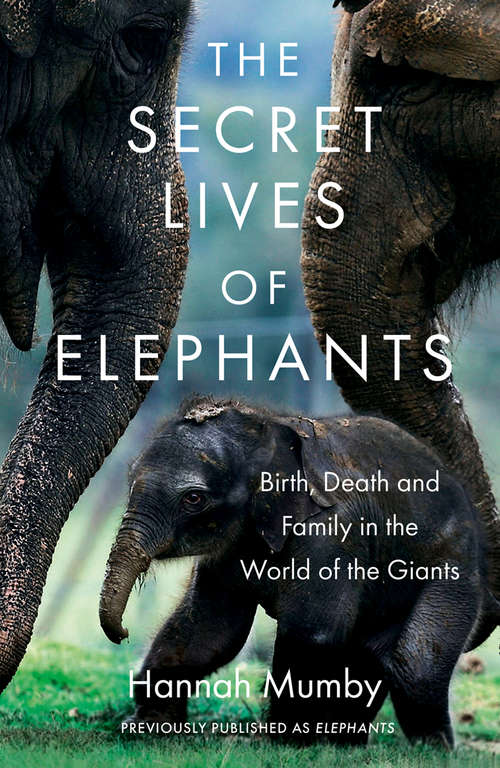 Book cover of Elephants: Birth, Life And Death In The Last Days Of The Giants