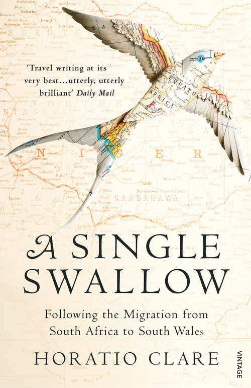 Book cover of A Single Swallow: Following An Epic Journey From South Africa To South Wales