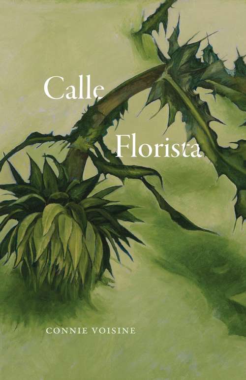 Book cover of Calle Florista (Phoenix Poets)